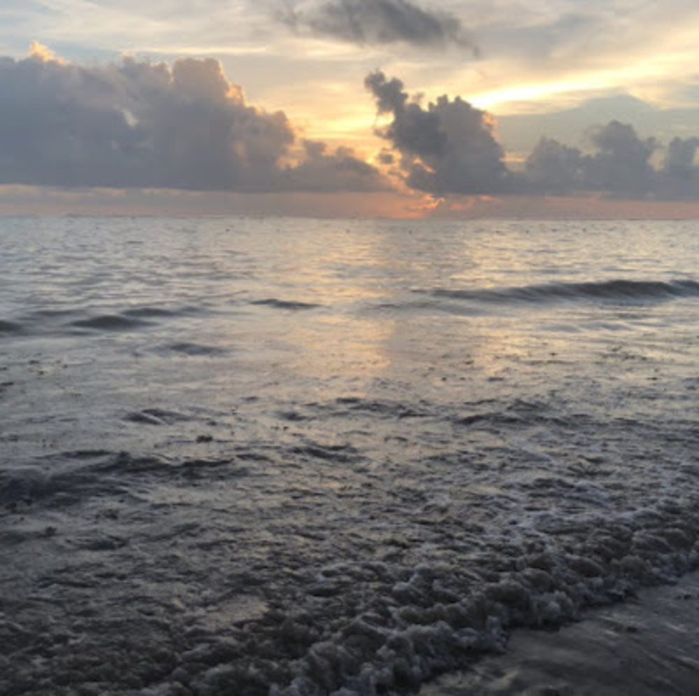 Meet your Posher, Sonja